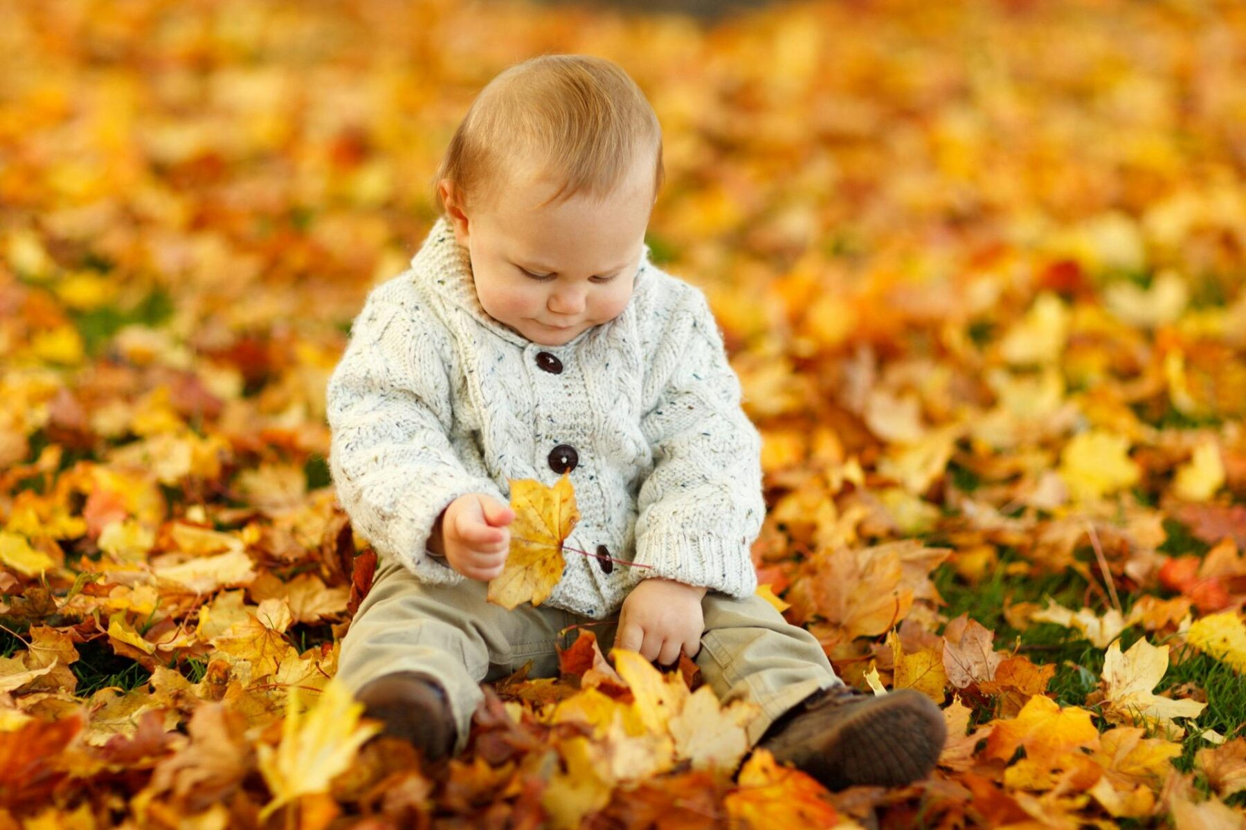 Baby sitting in a pile of colorful autumn leaves, wearing a cozy knit sweater, an ideal outdoor setting for Thanksgiving baby photo ideas.